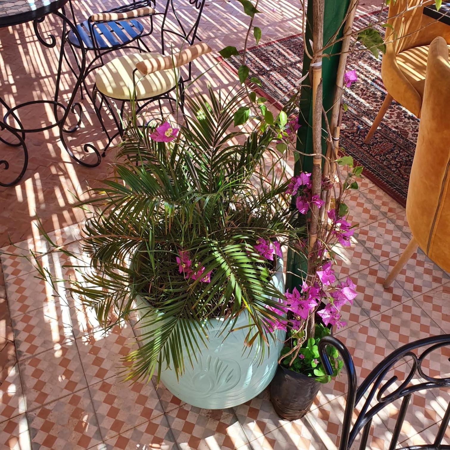 Riad Golf Stinia 2 Meknès Exteriör bild