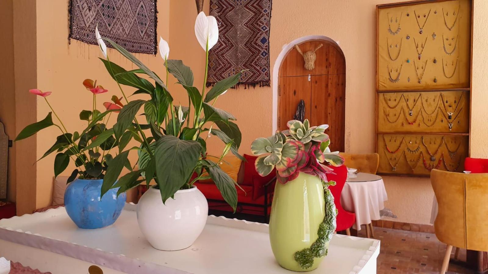 Riad Golf Stinia 2 Meknès Exteriör bild